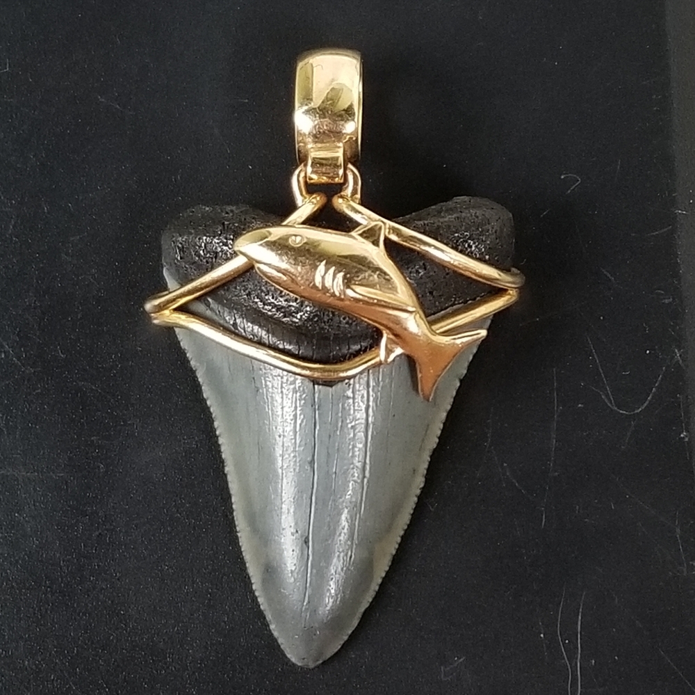 14k Yellow Gold Shark Tooth Pendant